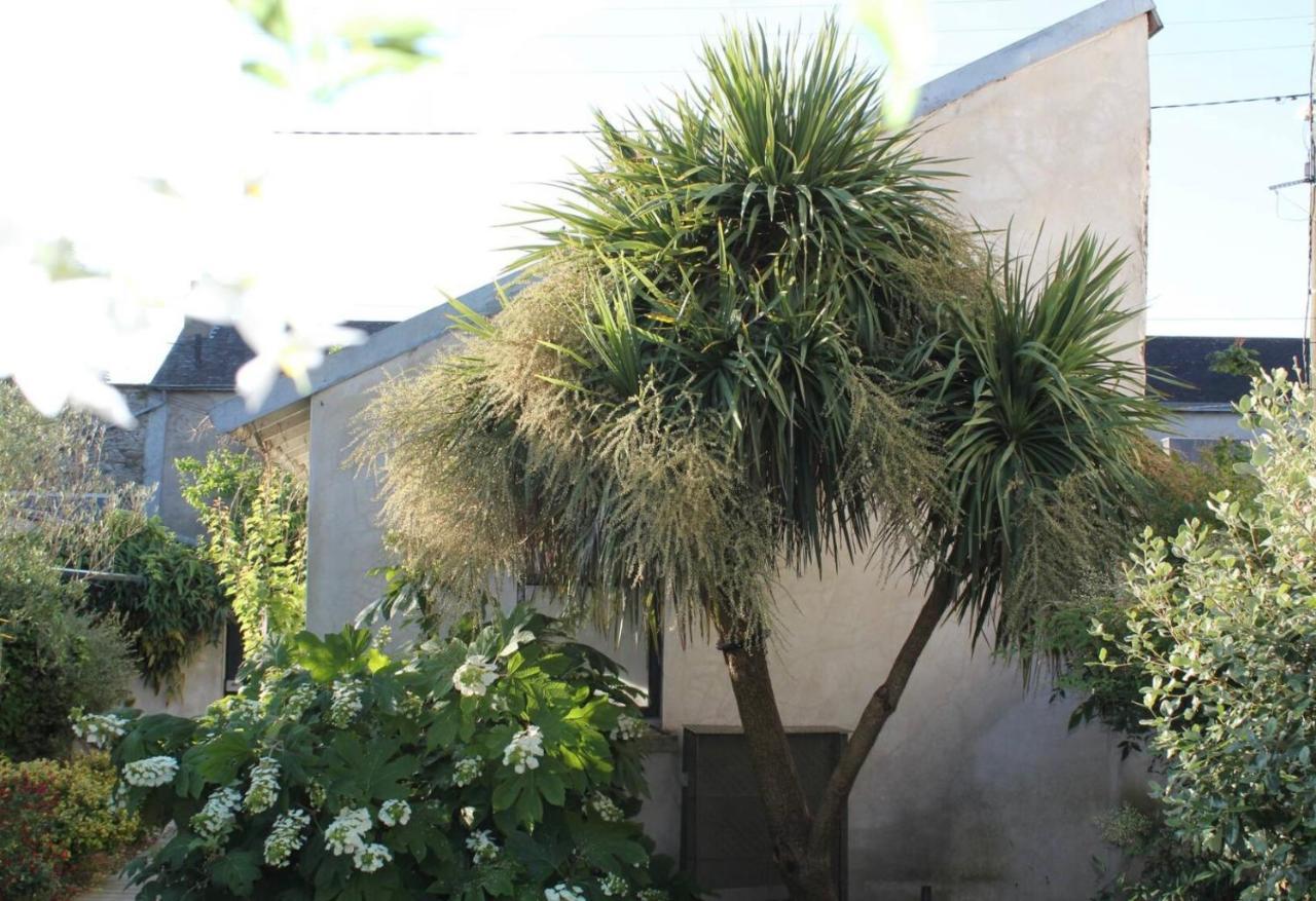 Duplex Confort Et Jardin Charmant Nantes Kültér fotó